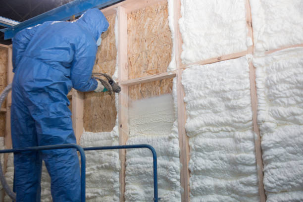 Best Insulation Removal  in USA